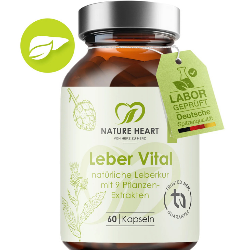 Leber Vital